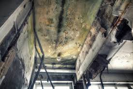 Mold Odor Removal Services in Emerald Lakes, PA